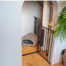 ペット専用スペースの写真