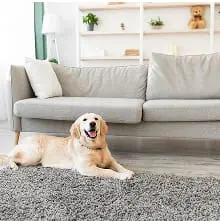 トイレスペースの写真