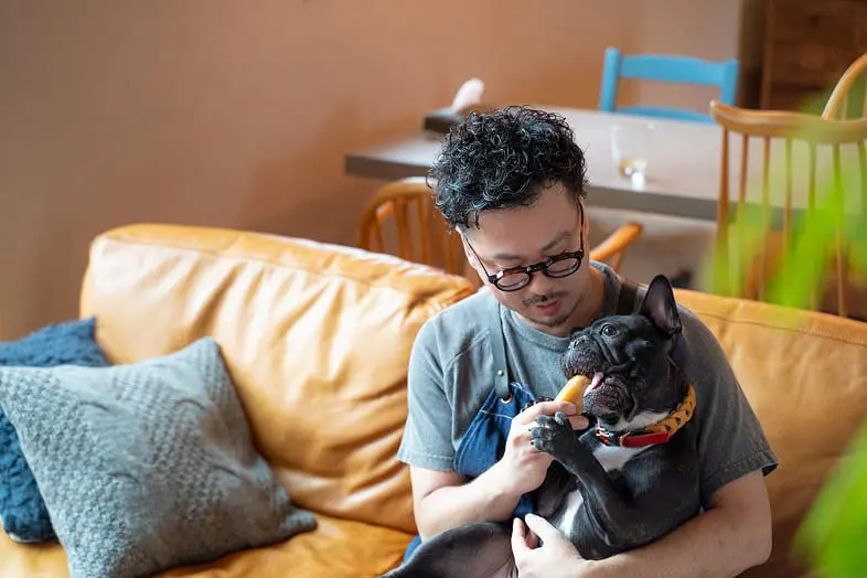 ソファに座る男性がフレンチブルドッグにおやつをあげている様子