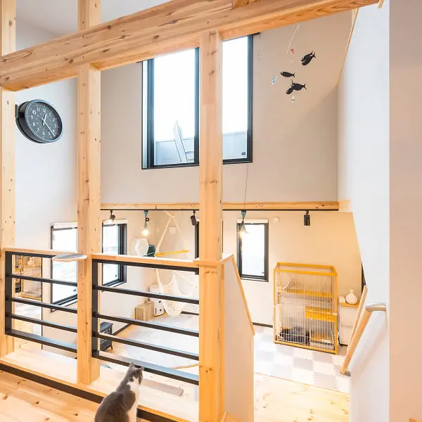 吹き抜けのある明るい室内を見下ろす猫